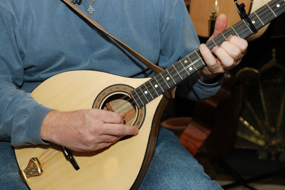 A musician playing a traditional string instrument, focusing on the hands and the intricate design of the instrument.